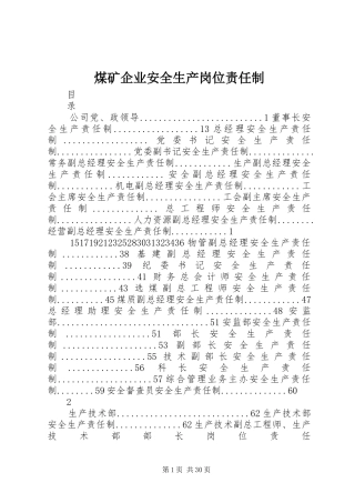 2024年煤矿企业安全生产岗位责任制