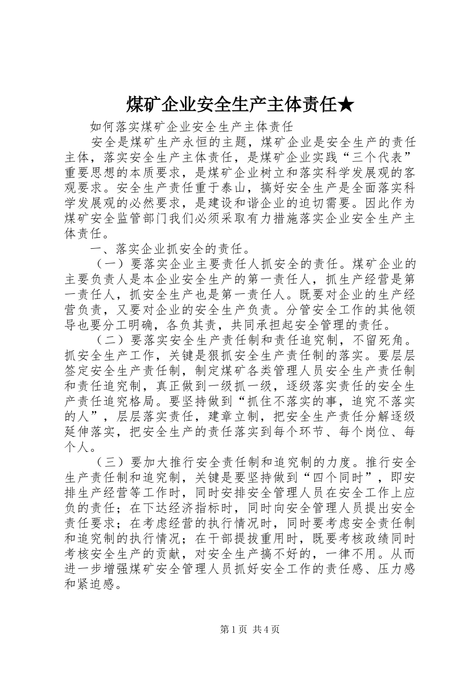 2024年煤矿企业安全生产主体责任_第1页