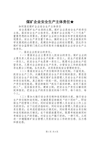 2024年煤矿企业安全生产主体责任