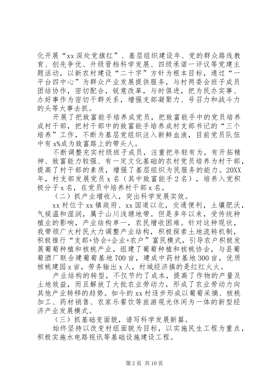 2024年村党支部书记个人工作总结_第2页