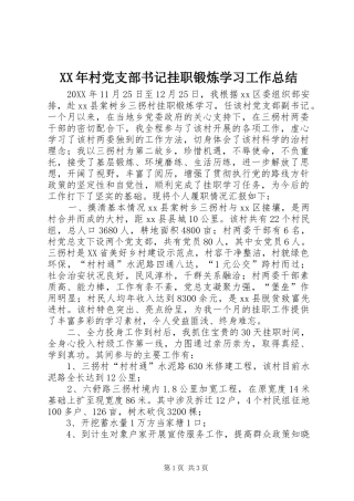 2024年村党支部书记挂职锻炼学习工作总结