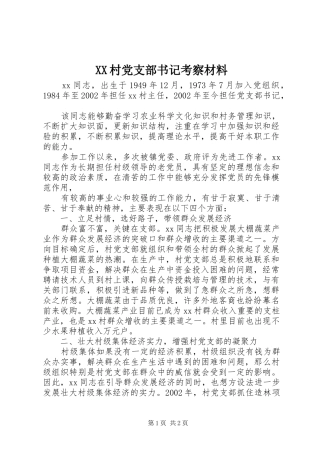 2024年村党支部书记考察材料