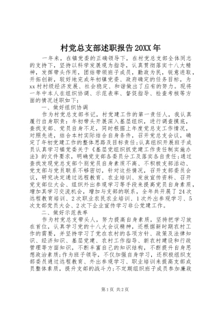 2024年村党总支部述职报告