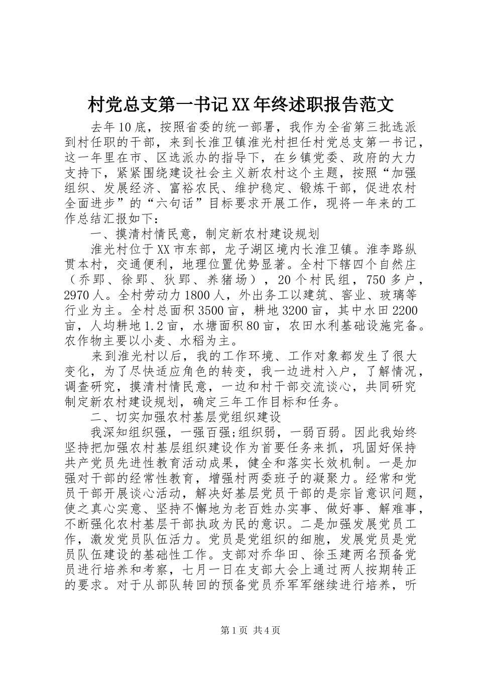 2024年村党总支第一书记终述职报告范文_第1页