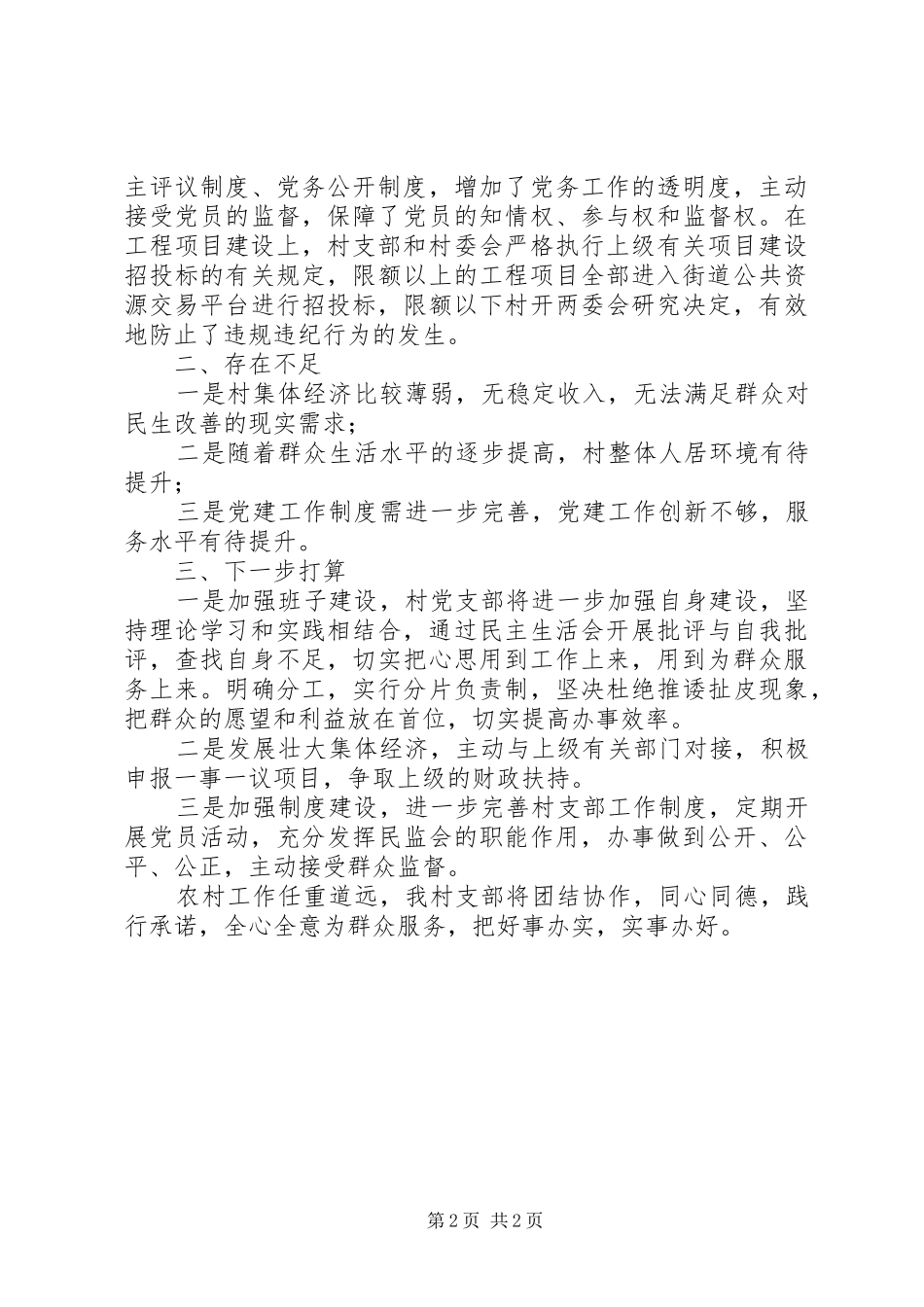 2024年村党组织工作总结_第2页