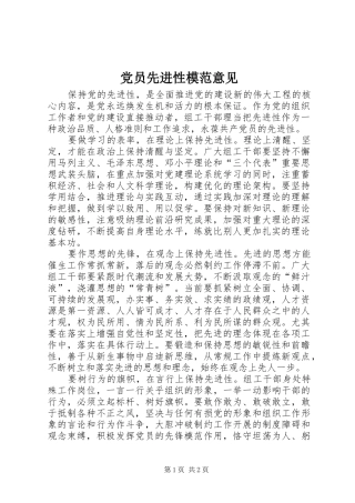 2024年党员先进性模范意见