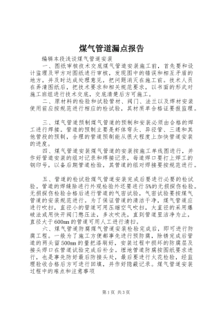 2024年煤气管道漏点报告
