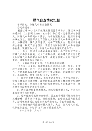 2024年煤气自查情况汇报