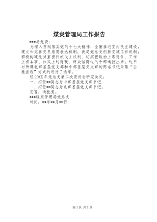 2024年煤炭管理局工作报告