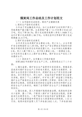 2024年煤炭局工作总结及工作计划范文