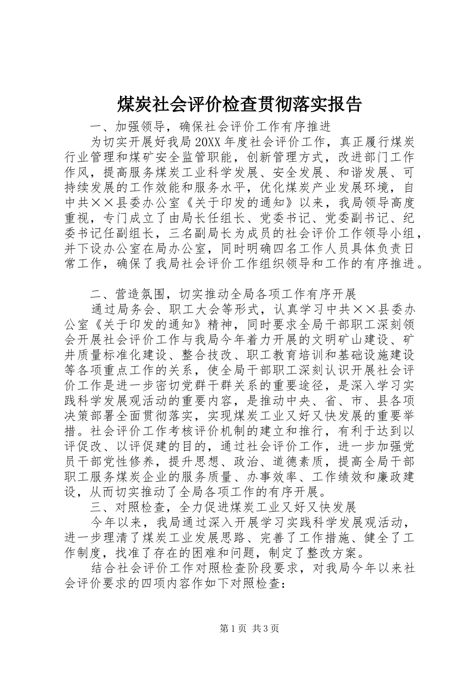 2024年煤炭社会评价检查贯彻落实报告_第1页