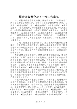 2024年煤炭资源整合及下一步工作意见