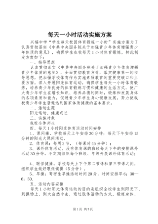 2024年每天一小时活动实施方案