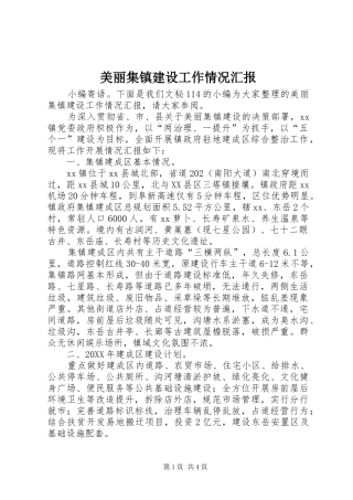 2024年美丽集镇建设工作情况汇报