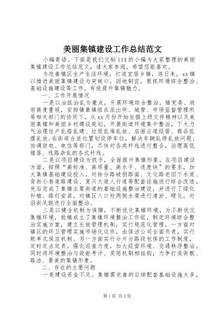 2024年美丽集镇建设工作总结范文