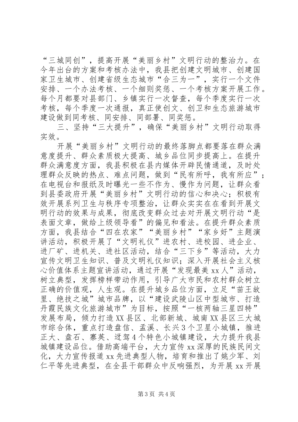 2024年美丽乡村·文明行动经验交流材料_第3页