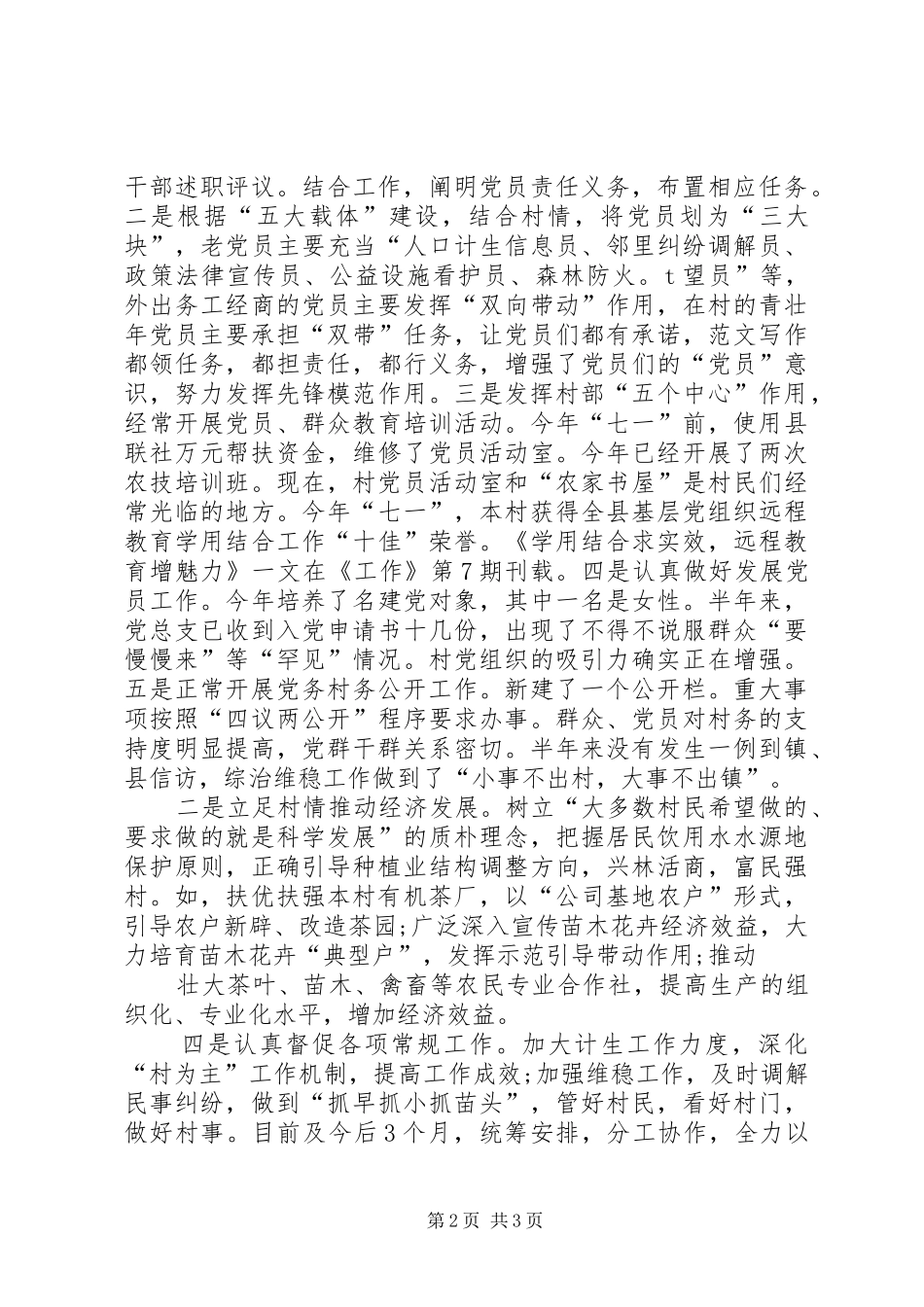 2024年村委书记工作总结范文_第2页
