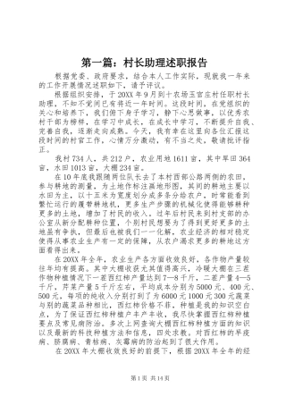 2024年村长助理述职报告