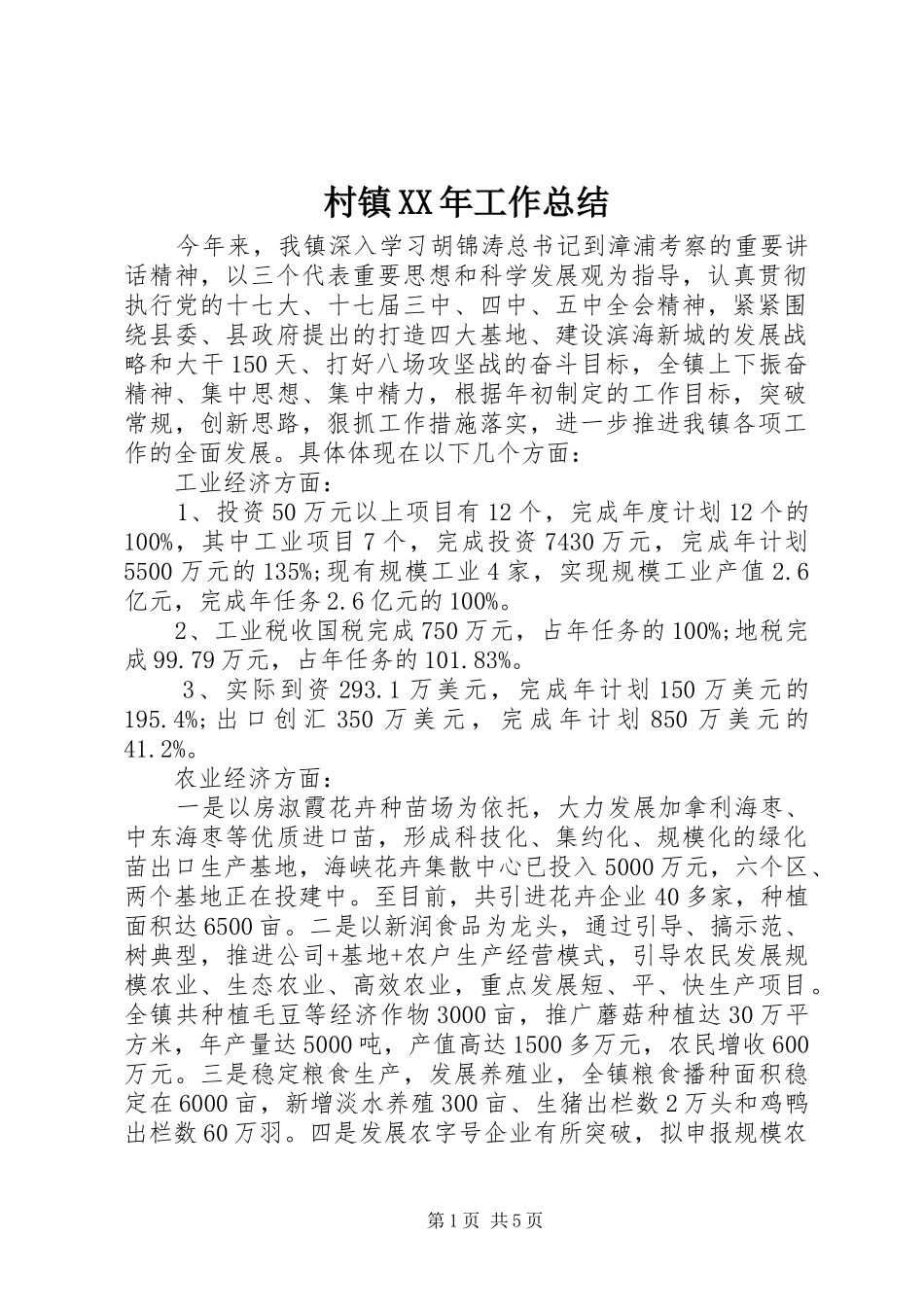 2024年村镇工作总结_第1页