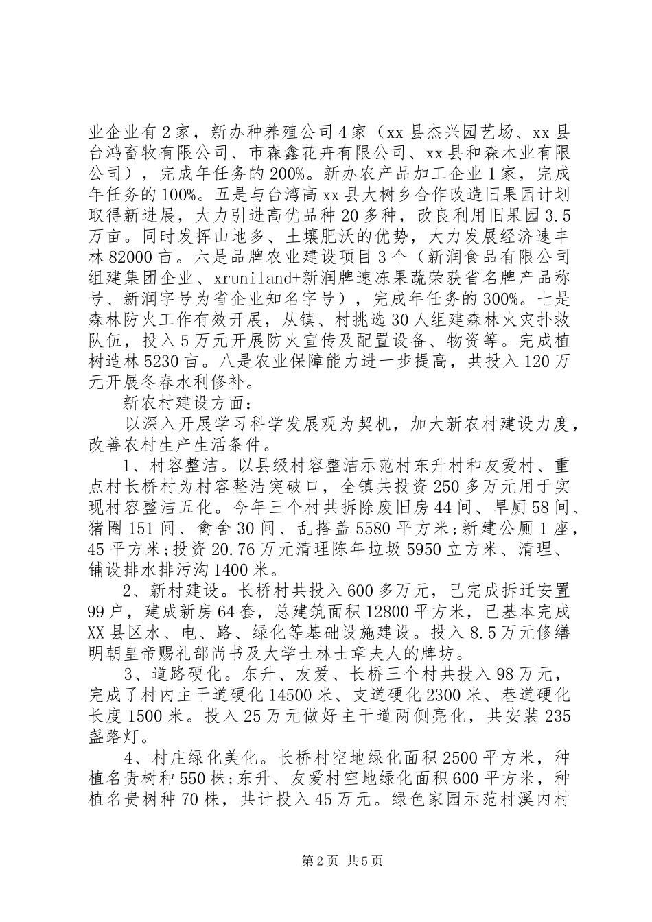 2024年村镇工作总结_第2页