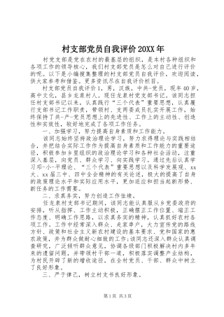 2024年村支部党员自我评价