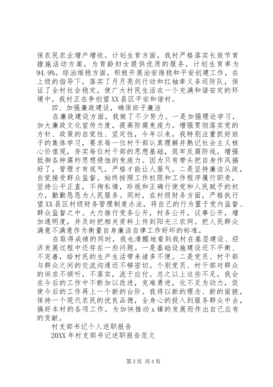 2024年村支部书记党述职报告_第3页