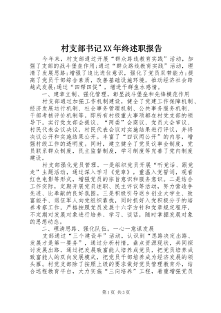 2024年村支部书记终述职报告