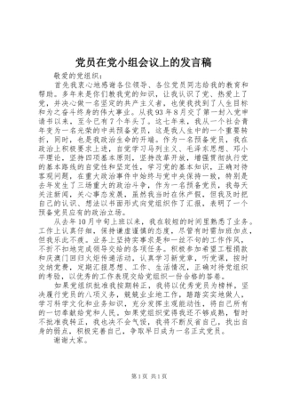 2024年党员在党小组会议上的讲话稿