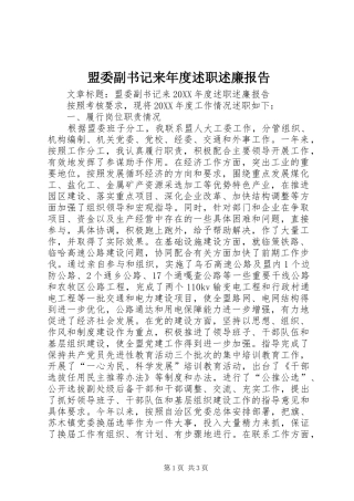 2024年盟委副书记来年度述职述廉报告