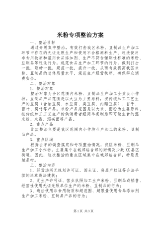 2024年米粉专项整治方案