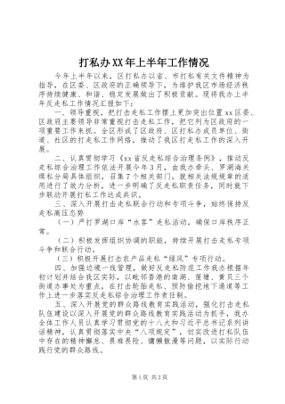 2024年打私办上半年工作情况