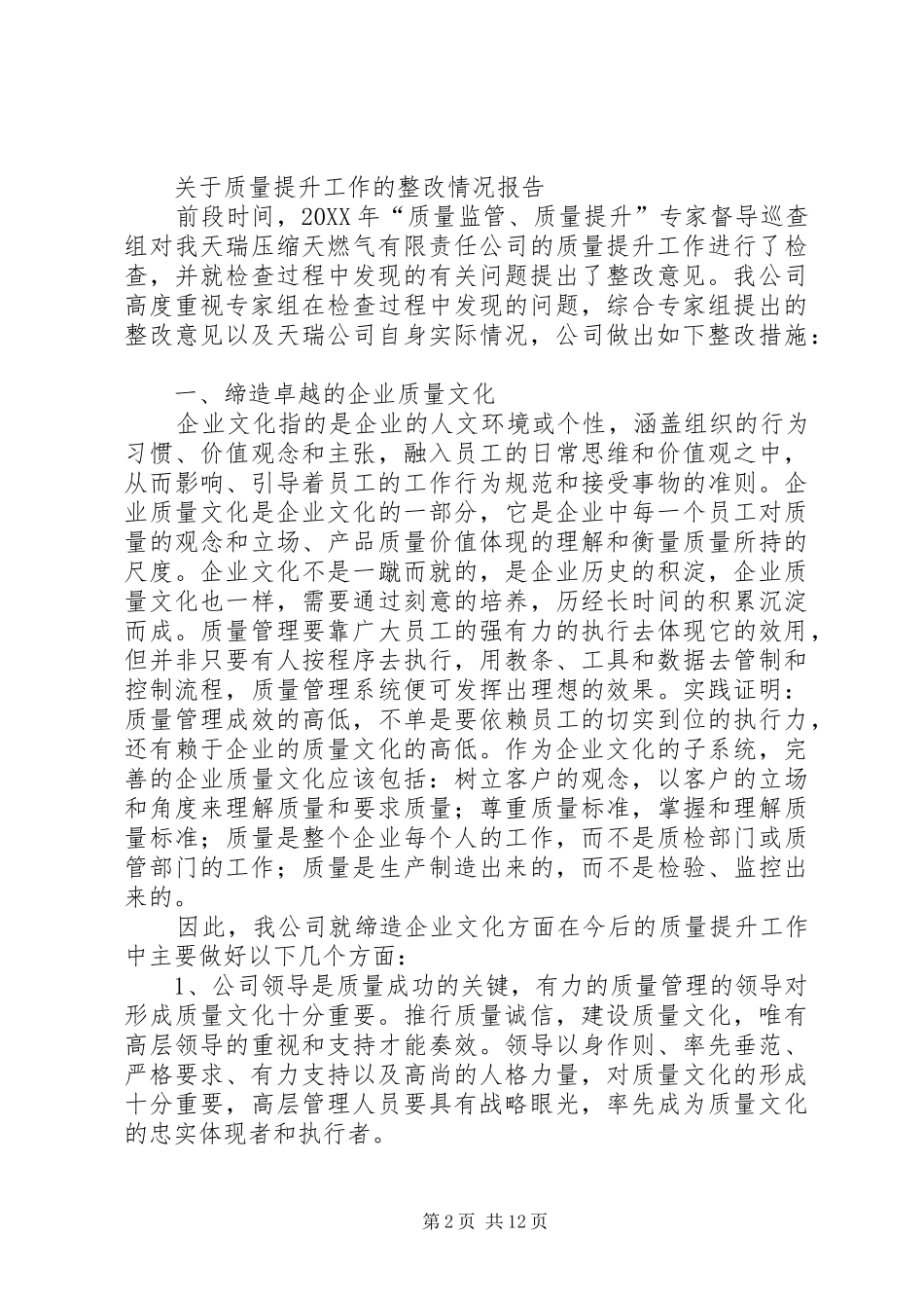 2024年米业公司质量提升整改报告_第2页