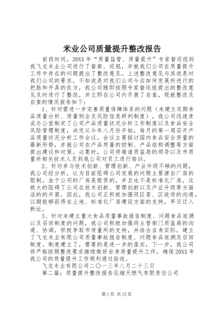 2024年米业公司质量提升整改报告