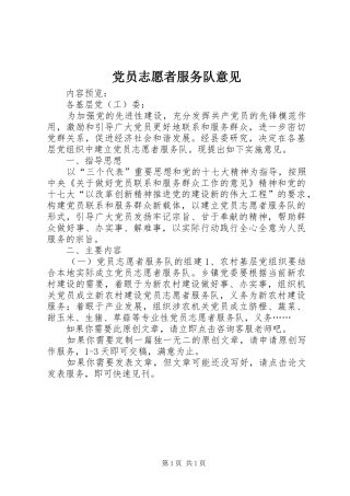 2024年党员志愿者服务队意见