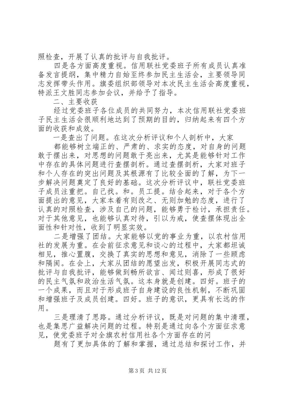 2024年党内民主生活报告_第3页