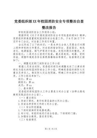 2024年党委组织部校园消防安全专项整治自查整改报告