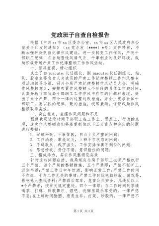 2024年党政班子自查自检报告