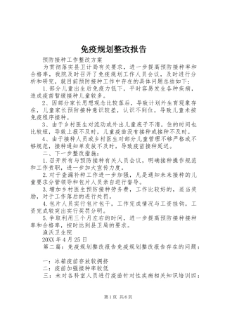 2024年免疫规划整改报告