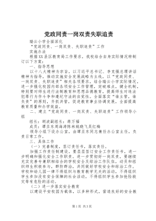 2024年党政同责一岗双责失职追责