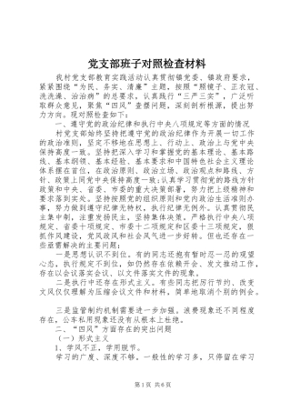 2024年党支部班子对照检查材料