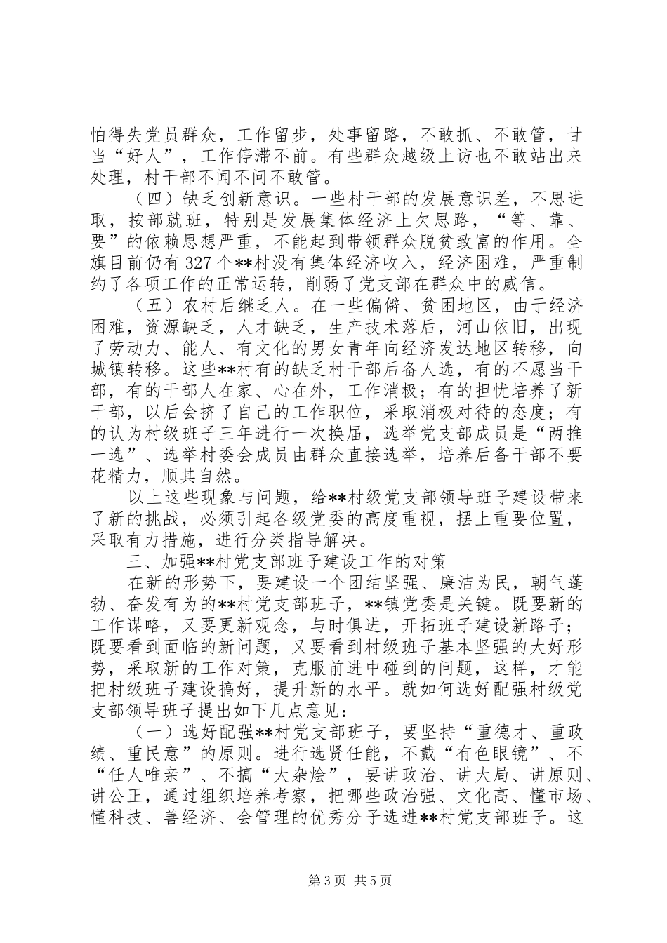 2024年党支部班子问题思考_第3页