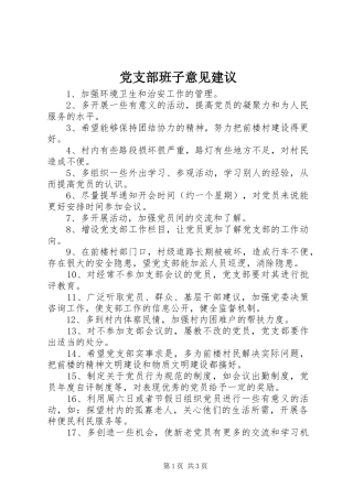 2024年党支部班子意见建议