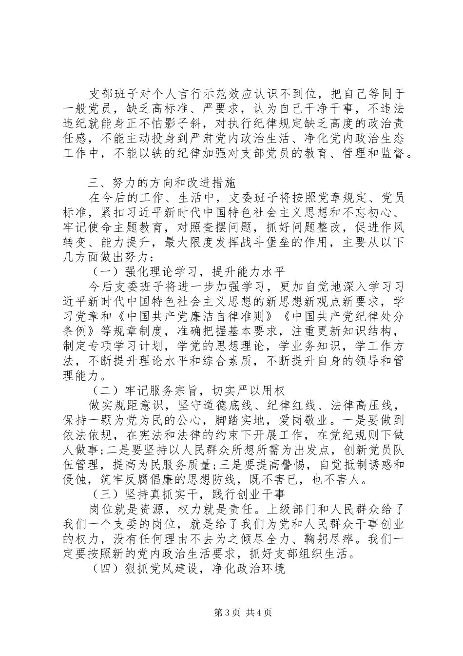 2024年党支部班子主题教育对照检查材料_第3页