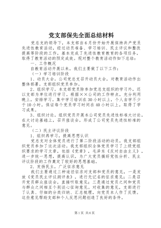 2024年党支部保先全面总结材料