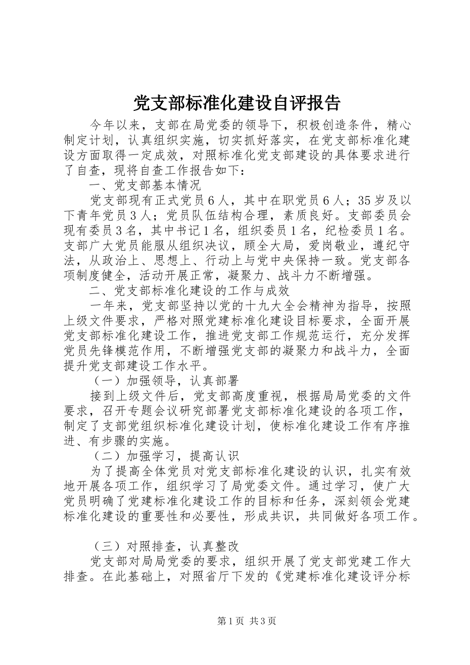 2024年党支部标准化建设自评报告_第1页