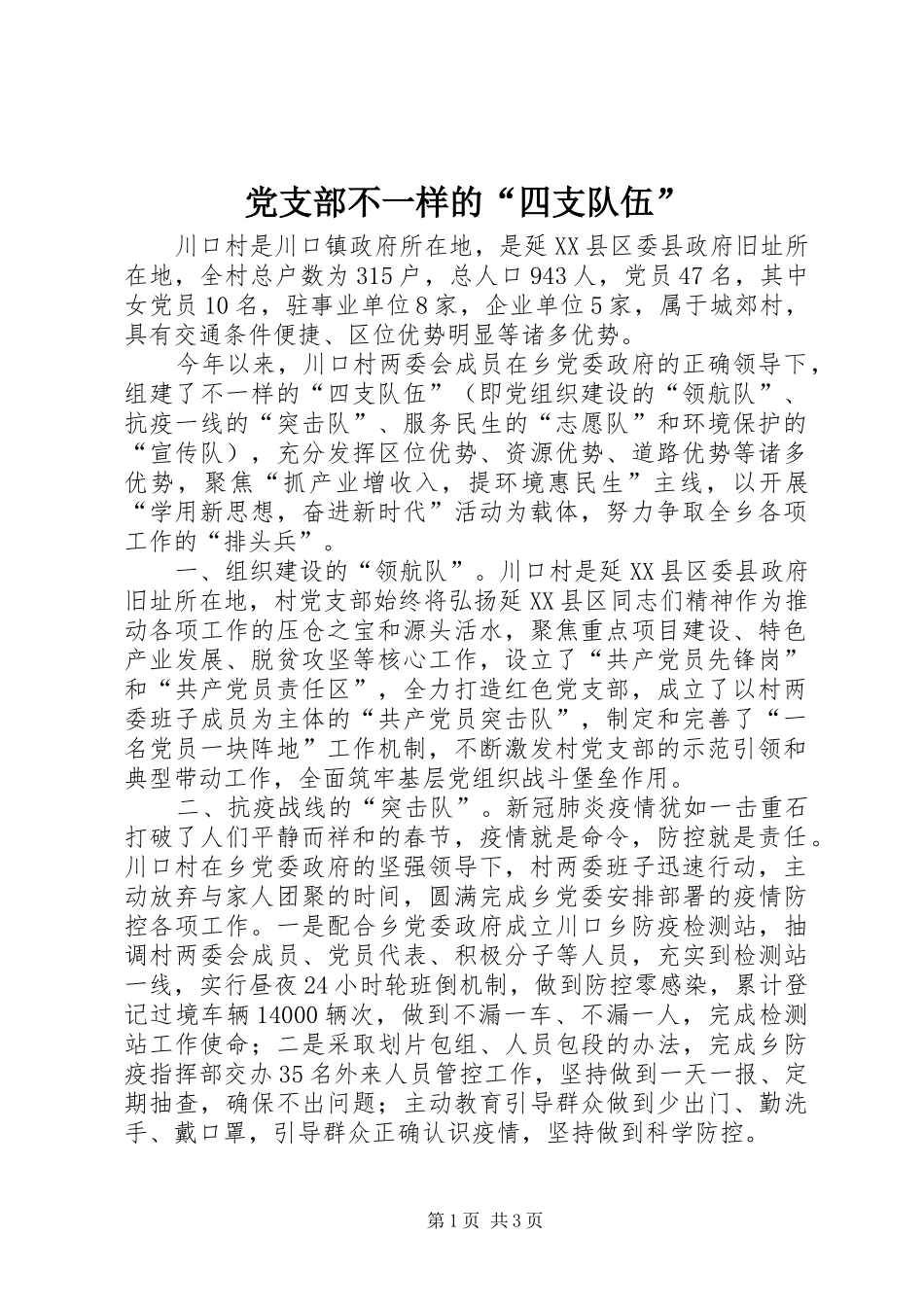 2024年党支部不一样的四支队伍_第1页
