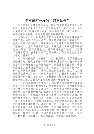 2024年党支部不一样的四支队伍
