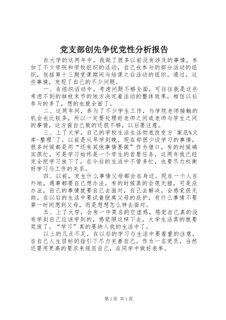 2024年党支部创先争优党性分析报告