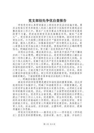 2024年党支部创先争优自查报告