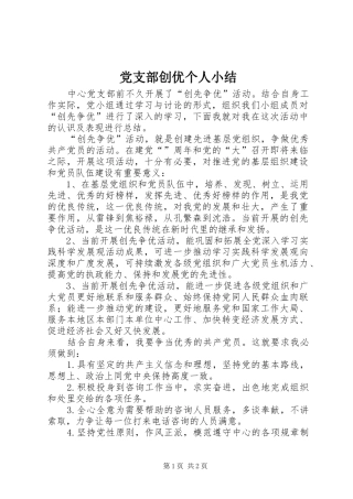 2024年党支部创优个人小结